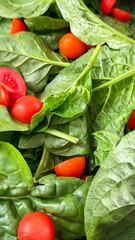 Vibrant spinach and cherry tomatoes tango in a leafy waltz; think Equinox feasts and farmers market...