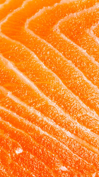 Juicy salmon fillet gleams under sunlight, evoking Nordic Midsummer feasts, vibrant texture igniting pescatarian culinary celebrations