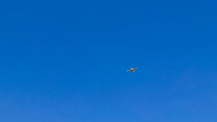 Airplane soaring through cerulean skies evokes wanderlust, celebrating World Tourism Day and International Pilot Appreciation in skyward serenity