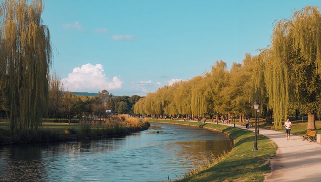 Scenic View of a Riverside Environment