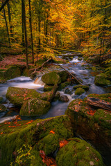 Fantasy and dark autumn forest with the best mystic atmosphere in the north of Bohemia, in Jizera mountains. like a fairy tale with pure water rivers and magic waterfalls.
