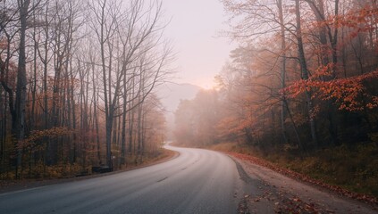 Fototapeta premium A misty fall journey to a mountain peak with focused detail.