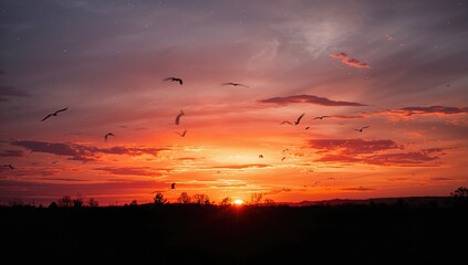 Gorgeous Evening Glow With Birds