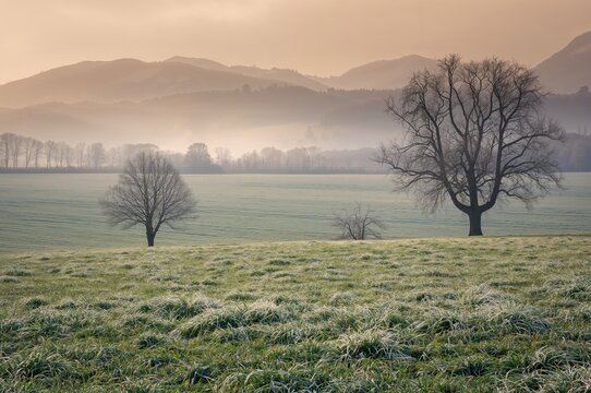 Peaceful snowy landscape with frosted meadows, foggy mountain summits, and sparse leafless trees in a rural area