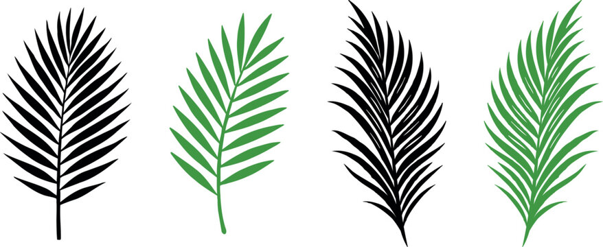 Elegant tropical palm leaf vector set featuring black silhouettes and green botanical fronds. Perfect for summer, beach, jungle, or tropical graphic design and print projects.