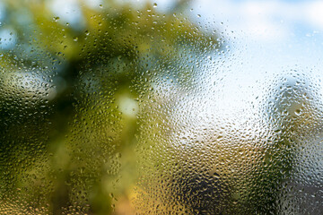 Raindrops and water condensation on transparent glass with blurred green trees and blue sky in background. Natural texture of wet window surface after rain.