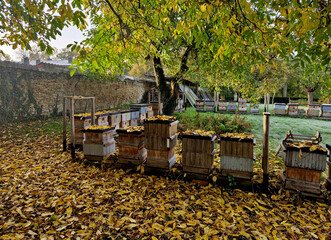 Fototapete bei efototapeten.de bestellen   