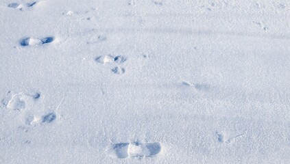 Peaceful snowy scene with soft footprints and smooth snowdrifts in a calm winter setting. Nature-inspired seasonal wall art and posters conveying serenity.
