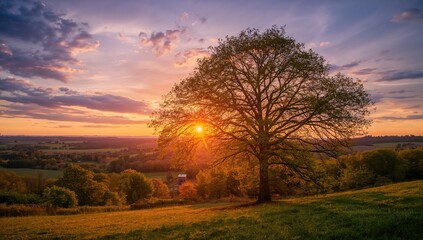 Evening glow over rural fields with a cloudy atmosphere