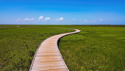 Winding wooden pathway vanishes into coastal wetlands within a protected natural area.