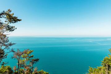 The horizon of the sea from a high point, with by green branches of trees.  View of the calm sea from above the trees. A natural setting, relaxation, and water activities. The blue sea and the foliage