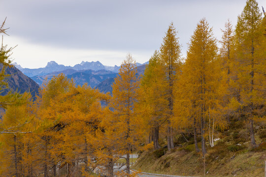 Herbstimpressionen, Landschaftspanorama, L&auml;rchen, Indian Summer, Pinzgau, Gro&szlig;glocknerstrasse, Gro&szlig;glockner.