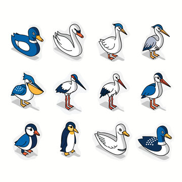 Isometric Bird Collection: Diverse Avian Species in Vector Illustration.