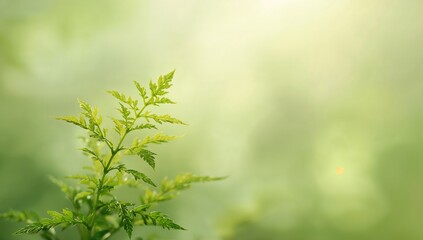Fototapeta premium A vibrant green seedling set before a soft, out-of-focus backdrop