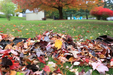Rake, tarp and leaf pile in a suburban backyard on a fall day