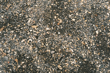 A rocky ground with a lot of rocks scattered around