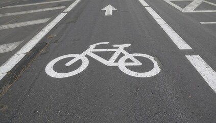 Fototapeta premium Newly constructed bike route with white markings on asphalt in warm weather