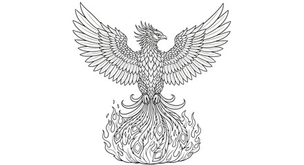 Phoenix Bird Line Art with Fire Tail and Open Wings
