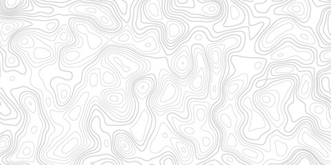 Abstract gray topography contour map background design .  Business concept. Fish Fillet Texture, Salmon fillet texture, fish pattern. paper texture.