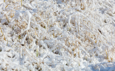 A field covered in snow and grass