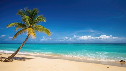 Obraz premium Seaside scene featuring palm trees