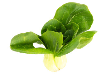 Fresh Taiwan bok choy isolated on white background