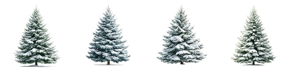 Snow Covered Pine Trees: Winter Landscape and Christmas Tree Collection