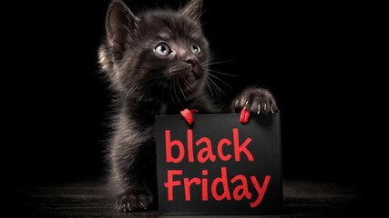 Playful black kitten holds a black bag with red text Black Friday, showcasing a charming expression, camera pans to capture the adorable scene and playful energy