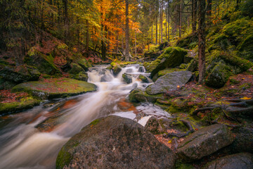 Fantasy and dark autumn forest with the best mystic atmosphere in the north of Bohemia, in Jizera mountains. like a fairy tale with pure water rivers and magic waterfalls.