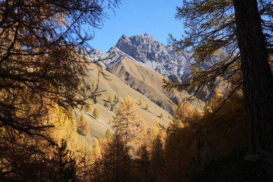 Autumn Mountain Landscape in Val Trupchun, Switzerland