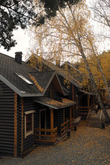 Row of wooden houses surrounded by autumn trees and fallen leaves, peaceful countryside atmosphere and rustic architecture in warm seasonal tones.