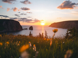 Canadian Coastal Landscape at Sunset &ndash; Scenic Nature View with Wildflowers and Ocean Cliffs.