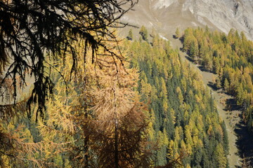 swiss national park - parc naziunal svizzer - Schweizerischen Nationalpark - val Trupchun