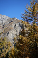 swiss national park - parc naziunal svizzer - Schweizerischen Nationalpark - val Trupchun