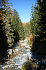 river flowing through the swiss national park - parc naziunal svizzer - Schweizerischen Nationalpark - val Trupchun