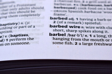 Fototapeta premium English Dictionary Page Close Up With the Word Of -barbel