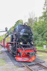Harzer Schmalspurbahn in Quedlinburg, Deutschland