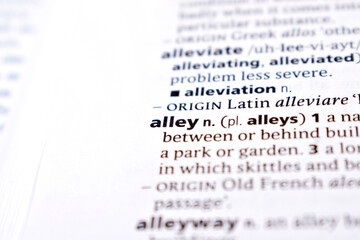 Fototapeta premium Close Up Of English Dictionary Page With Word - alley