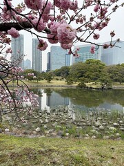 View of a city park with skyscrapers in the background in Tokyo, Japan