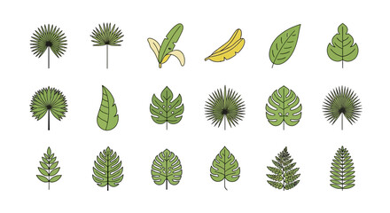An illustration featuring various leaves and bananas arranged in three rows