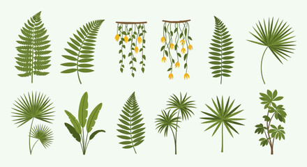 Botanical illustration of various plants and flowers on a white background