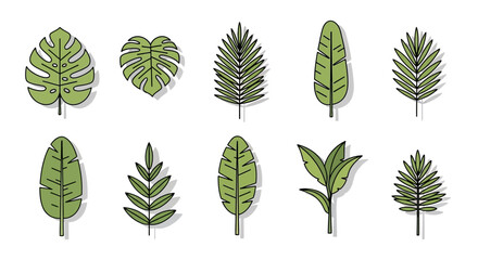 Collection of ten different green leaves with black outlines and shadows on a white background