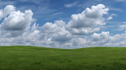 Obraz premium Expansive green field stretches beneath a bright blue sky filled with dramatic white cumulus clouds