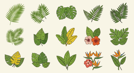 Fifteen botanic tropical leaf and flower illustrations on a light beige backdrop