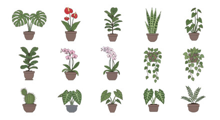 Fifteen potted plants a variety of foliage and flowers in brown and grey pots arranged in a grid