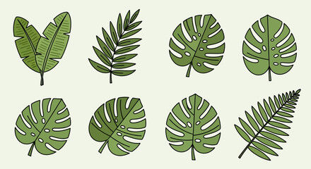 Graphic of eight stylized green tropical leaf illustrations arranged on a cream background