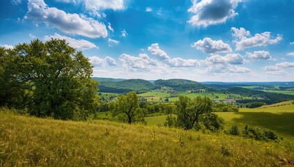 Obraz premium Aerial perspective of large trees overlooking a mountainous region