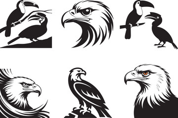 Fototapeta premium Majestic eagle heads and toucans in dynamic black and white sketches for wildlife art projects silhouette