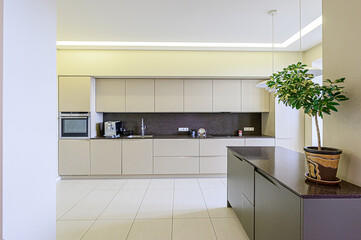 Modern kitchen featuring sleek beige cabinets, dark countertops, white tile flooring, and a vibrant potted plant on the island