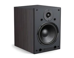 Obraz premium A close-up studio shot of a dark brown wooden speaker system with a large circular woofer